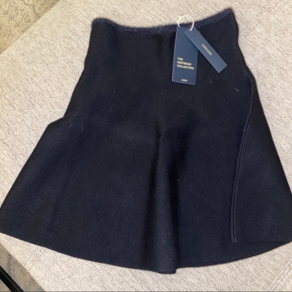 Zara a-line skirt!